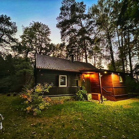 Villa Ranczo Wilkowyja à Wilkowyja  Extérieur photo