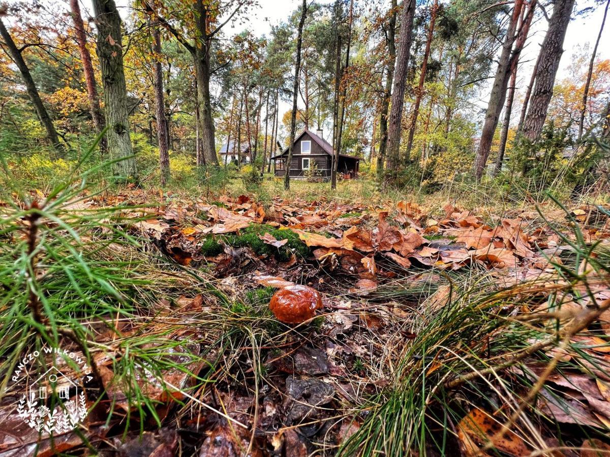 Villa Ranczo Wilkowyja à Wilkowyja  Extérieur photo
